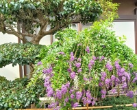 中国公认的10位童话大师都有谁