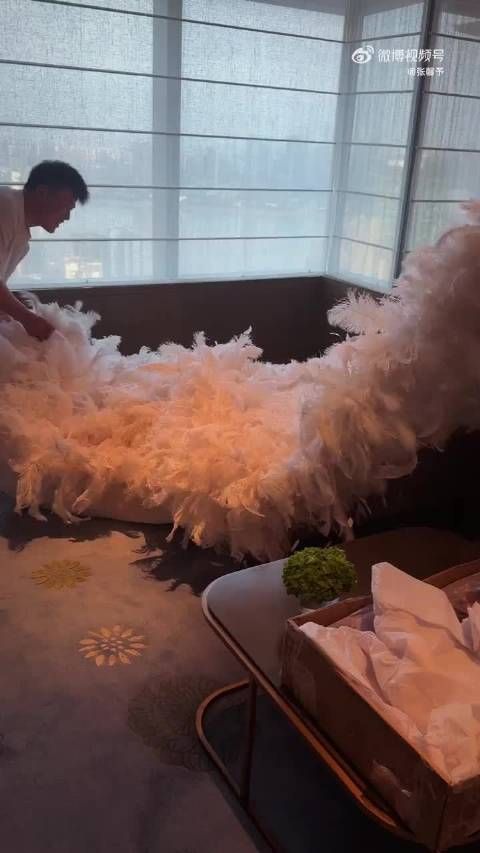 张馨予穿25斤礼服出席活动