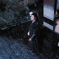 张若昀胡歌肖战杨紫赵丽颖杨幂领衔内娱顶配资源