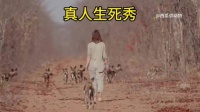 国外真人生死秀跟野狗零距离接触！