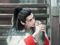 水龙吟被曝有四个微信群，成员互动细节曝光