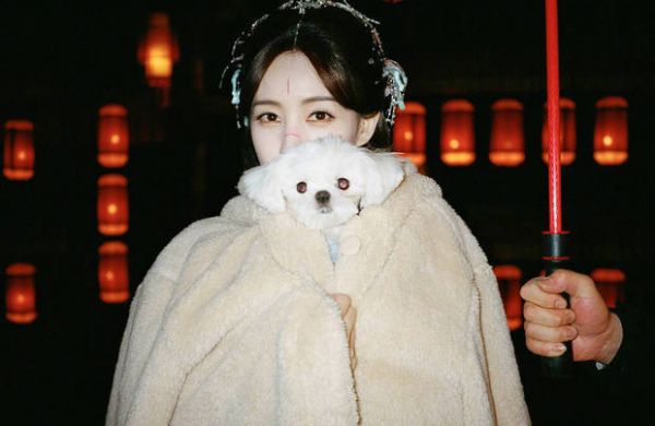 李一桐裹着毛绒外套,抱着小狗,画面温馨可爱。
