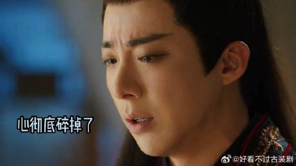 《书卷一梦》 南珩负伤道歉却被无情拒绝,他心碎得像一只可怜的修勾