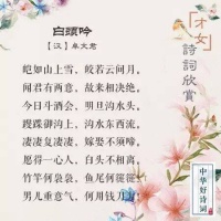 古代八大才女在此，你想和谁做好朋友？