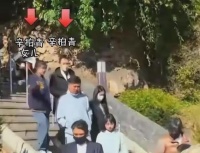 继首次露面双眼无神后，辛柏青再被偶遇状态回春朱媛媛可以放心了