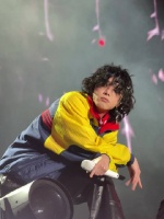 华晨宇杭州音乐节毛绒绒造型