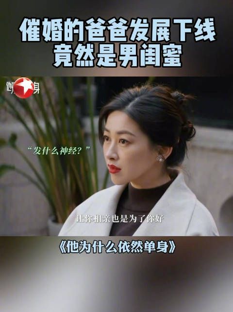 朱珠新剧《他为什么依然单身》东方卫视热播