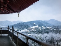 无锡秋色摄影攻略：寻找专业摄影导游，捕捉江南最美秋韵