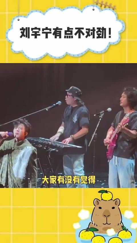 这个刘宇宁有点不太对劲! 综艺 #演唱会