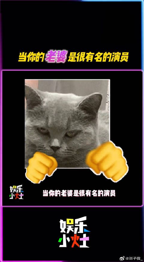 海关小哥：就你tm把我女神娶走了是吧？微博VC计划