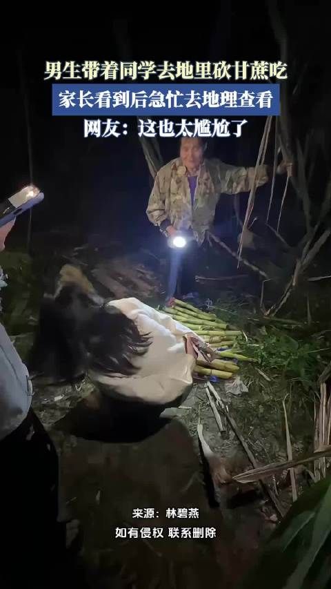 男生带着同学去地里砍甘蔗吃，家长看到后急忙去地理查看 ！
