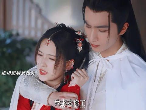 社牛小太阳×清冷恋爱脑，从结伴历练到携手飞升，这恋爱甜度超标了！