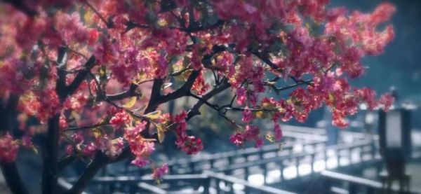 卢凌风否认对裴喜君生情