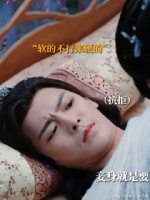 每个物种都有自己的显眼包，蛾子也不例外！