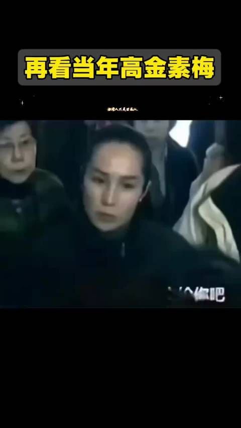 当年高金素梅怒斥日本人