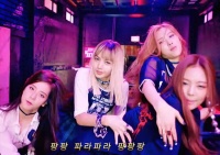 王思聪带懒懒看演唱会，舞台前对美女猛拍照，已谢顶没剩几根头发