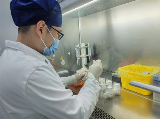 浙江省人民医院检验中心工作人员在做呼吸道病原体核酸样本检测。(受访者供图)