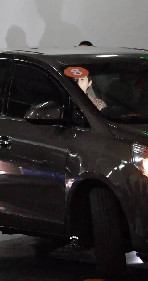 又是一档很适合王安宇的节目