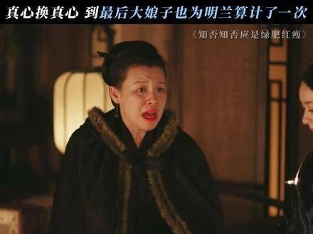 知否知否应是绿肥红瘦 这或许就是母性的本能,终究还是亲昵地唤上一句大娘子