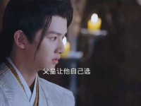 时雨终成世子，携手挚爱共度余生