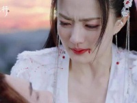 月歌行柳梢目睹陆离消散崩溃痛哭