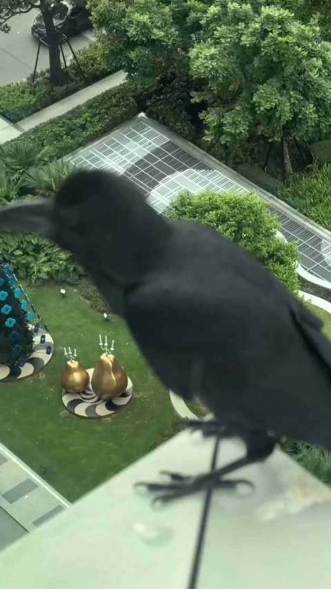 251204 @BamBam1A_王文王 IG 更新 我躺下了,突然以为我要看演唱会