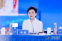 杨澜：提升民族文化国际影响力 为产业出海提供更高的品牌溢价能力