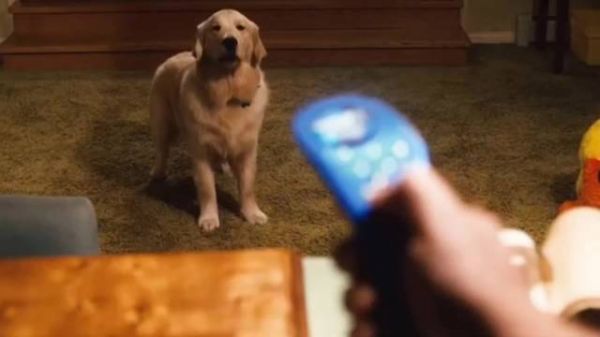 可以控制人生的遥控器,不断加速自己的人生最后只剩下工作