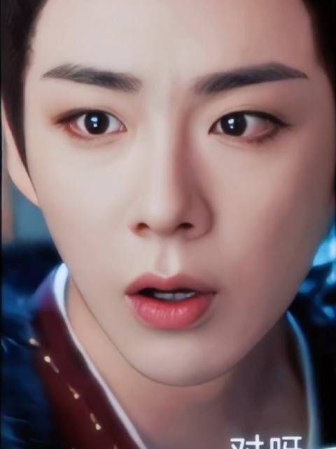 这么漂亮的南珩宝宝 好精致好伟大的一张脸 迷亖我了