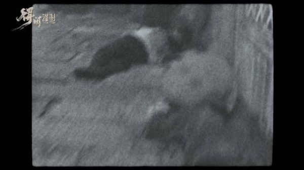 电影《得闲谨制》热映,肖战彭昱畅演绎南京大屠杀幸存者抗争史