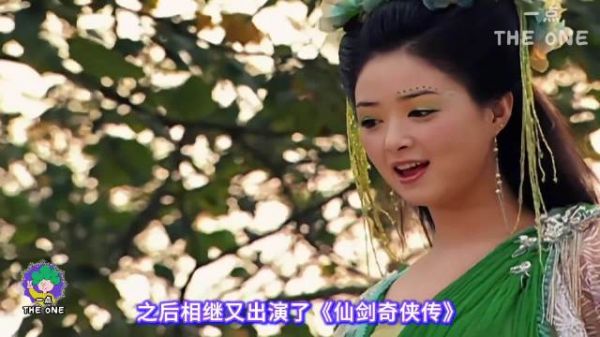 蒋欣三度提名颗粒无收,华妃樊胜美宋莹角色成遗珠