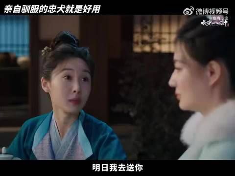 《长安二十四计》萧文敬成忠犬工具人,秒速干活洗碗收拾