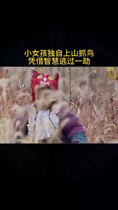 小女孩独自上山抓鸟 过人的智慧逃过一劫
