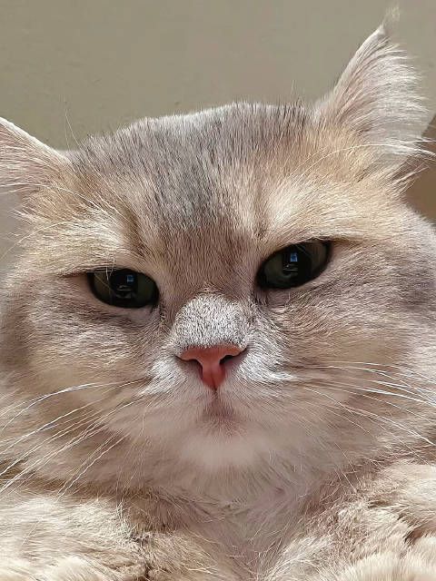 这打扮让我想起了当年《甲方乙方》里的尤老板