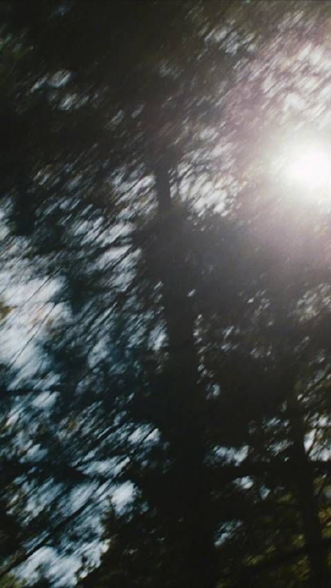 汤唯Burberry购物归家展电影感，浅笑盛饭温馨满溢