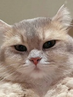 这打扮让我想起了当年《甲方乙方》里的尤老板