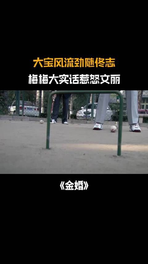 金婚：大宝风流劲随佟志，梅梅看穿区别，大实话戳文丽心窝子