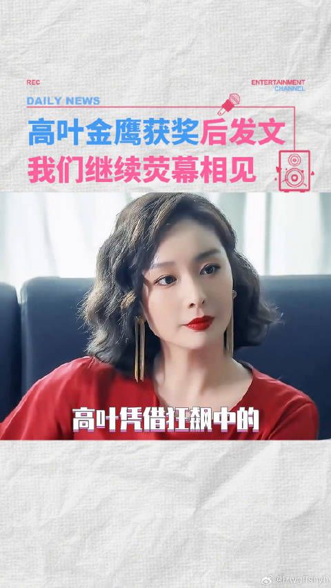 高叶获得金鹰奖最佳女配角 努力终会被看到 狂飙 大嫂