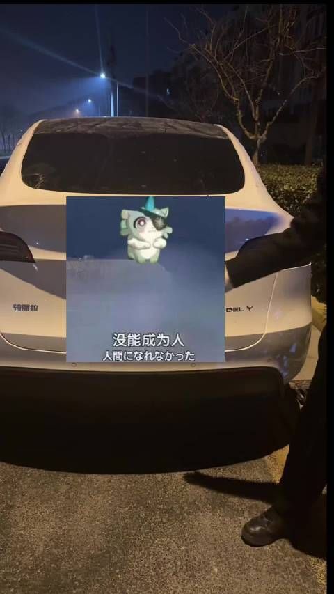 白月光回国我去接