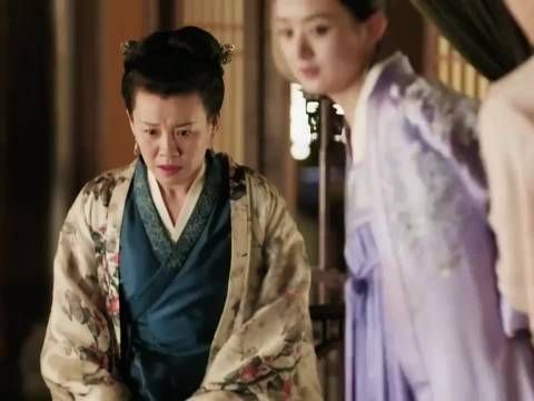 知否知否应是绿肥红瘦：“您纵有千般的不是，却有一个心软的好处”