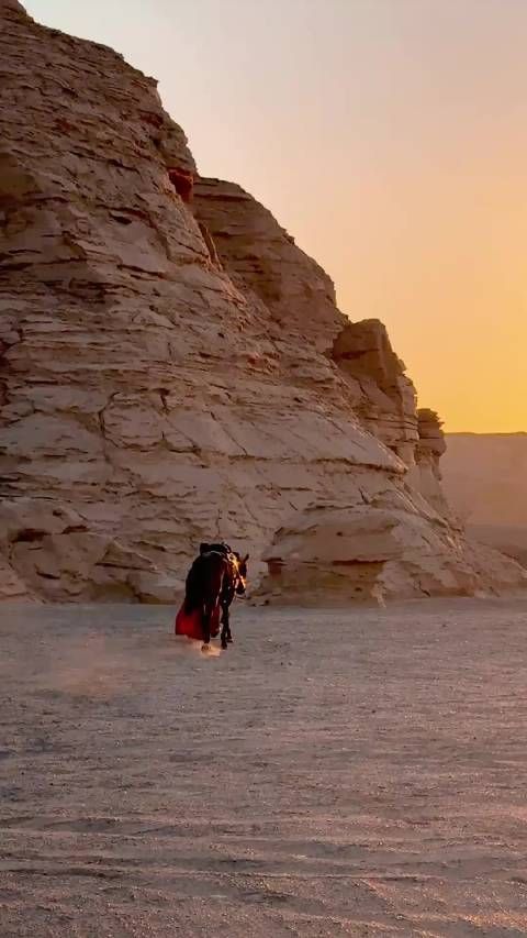 陈都灵在这个沙漠拍的每套都好美啊,感觉她的气质真的超级的好!