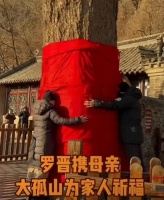 曝罗晋陪母亲去大孤山祈福！母亲抱着大树痛哭，一路上罗晋递纸巾、拍背