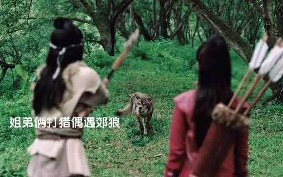 姐的内核已经强到光凭眼神就可以击退狼群