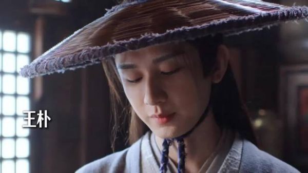 言凤山王朴畸形父子关系曝光，谢淮安策反动机揭晓