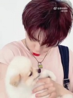 陈立农机场签名宠粉梦回舞台