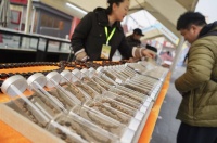 潘家园33周年庆暨首届串文化节开幕 打造“可观、可玩、可购、可学”的沉浸式文化体验