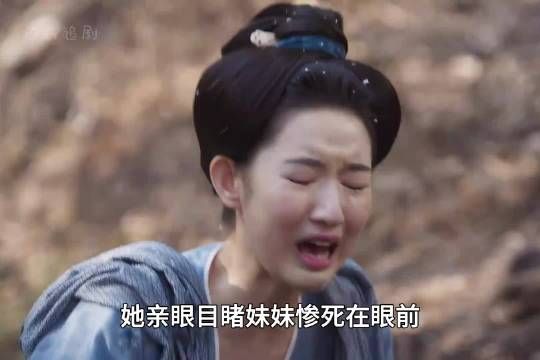 她亲眼目睹妹妹身亡在眼前，却在一年后的梅花宴上成了丞相府儿媳