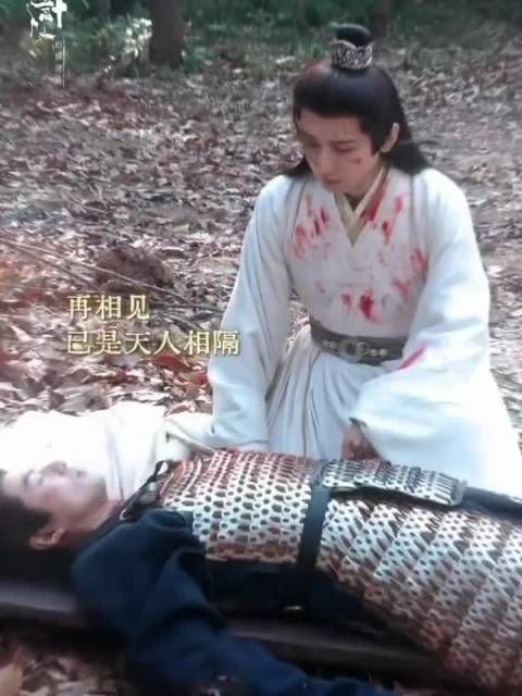 谢淮安含泪剖尸取兵符,顾玉舍生留线索