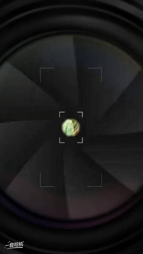 制作了一个毛宁视频照片集