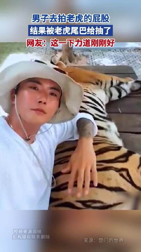 男子去拍老虎的屁股 结果被老虎尾巴给抽了 网友：这一下力道刚刚好